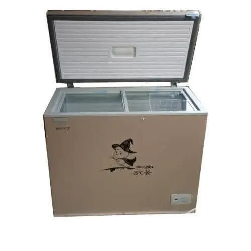 Snowsea 258L Chest Freezer - Bd258l